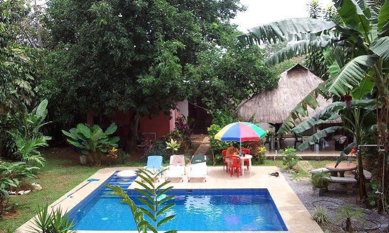 Bambu Hostel David Ngoại thất bức ảnh