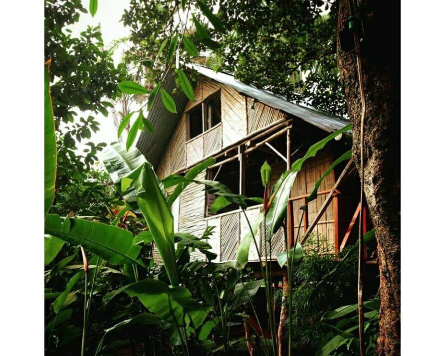 Bambu Hostel David Ngoại thất bức ảnh