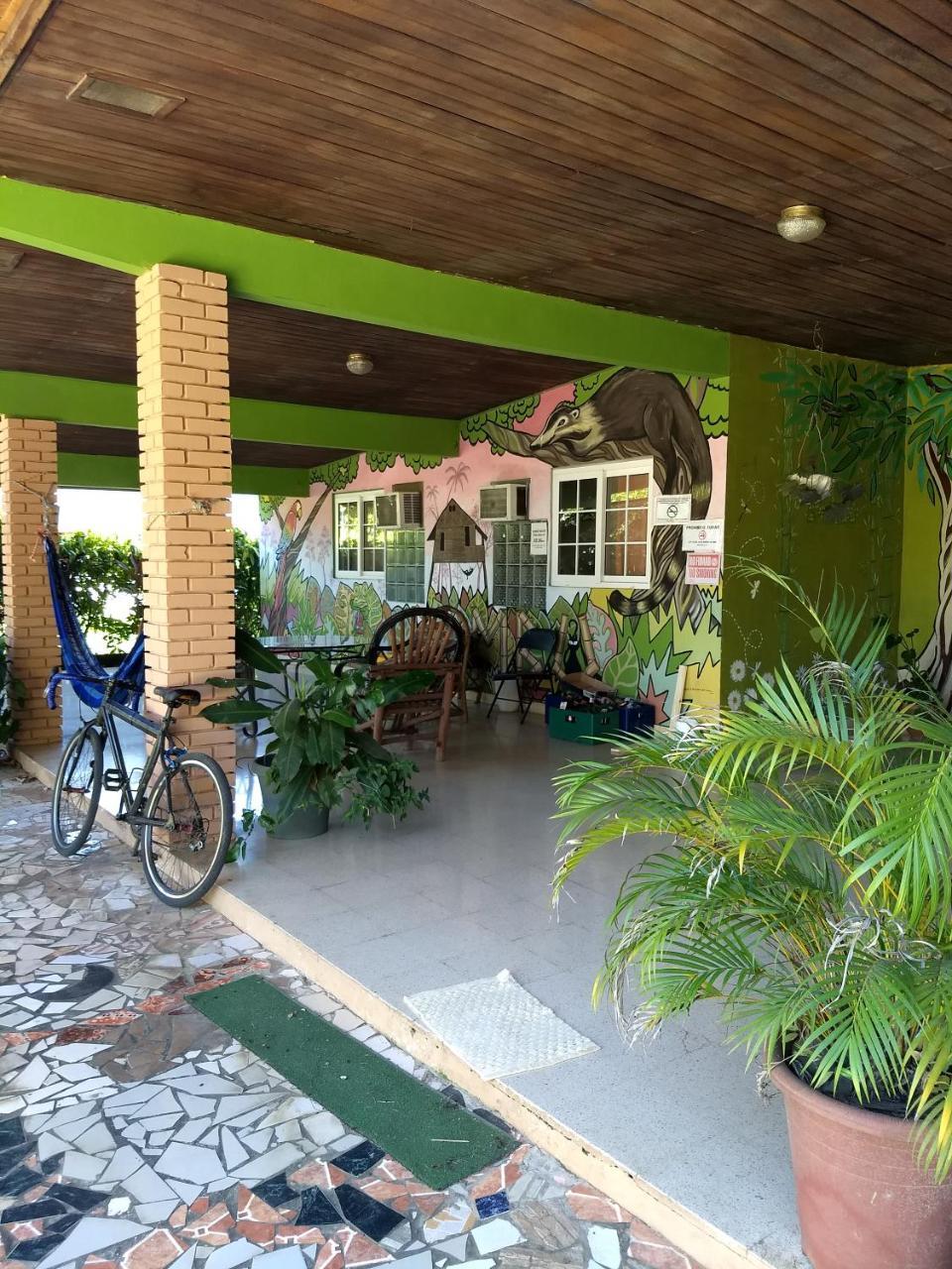 Bambu Hostel David Ngoại thất bức ảnh