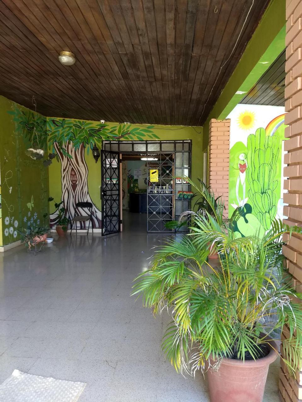 Bambu Hostel David Ngoại thất bức ảnh